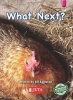 What Next?, Lower level - magneta - Gr 1 (Paperback) -  Photo