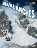 Avalanches (Paperback, 2nd) - Michael Woods Photo