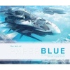 The Art of Paperblue (Paperback) - Jae Chul Park Photo