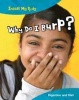 Why Do I Burp? (Paperback) - Isabel Thomas Photo