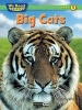 Big Cats (Paperback) - Bruce Johnson Photo