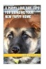 A Puppy Love Day; Tips for Bringing Your New Puppy Home (Paperback) - Virginia Clark Photo