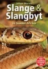 Slange & Slangbyt in Suider-Afrika (Afrikaans, Paperback) - Johan Marais Photo