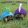 Tortoise in a Sweater 2017 - 16-Month Calendar September 2016 Through December 2017 (Calendar) - Editors of Rock Point Photo