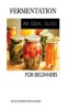 Fermentation - An Ideal Guide for Beginners (Paperback) - Matthew Hollinder Photo