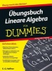 Ubungsbuch Lineare Algebra Fur Dummies (German, Paperback) - E G Haffner Photo