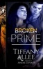 Broken Prime (Paperback) - Tiffany Allee Photo