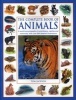 The Complete Book of Animals - A World Encyclopedia of Amphibians, Reptiles and Mammals with Over 500 Detailed Illustrations (Paperback) - Tom Jackson Photo