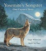 Yosemite's Songster - One Coyote's Story (Hardcover) - Ginger Wadsworth Photo