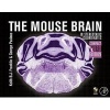 The Mouse Brain in Stereotaxic Coordinates, Compact: Compact (Hardcover, 3rd Revised edition) - George Paxinos Photo