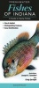 Freshwater Fishes of Indiana - A Guide to Game Fishes (Book) - Craig Springer Photo