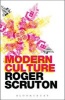 Modern Culture (Paperback, New edition) - Roger Scruton Photo