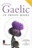 Scottish Gaelic in Twelve Weeks (English, Irish, Paperback) - Roibeard OMaolalaigh Photo