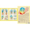 Hand and Foot Reflexology (Poster) - Jan Baarle Photo