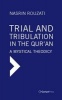 Trial and Tribulation in the Qur'an (Hardcover) - Nasrin Rouzati Photo