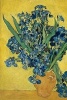 Vincent Van Gogh's 'Vase with Irises Against a Yellow Background' Art of Life Jo (Paperback) - Ted E Bear Press Photo