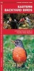 Eastern Backyard Birds - A Folding Pocket Guide to Familiar Urban Species (Pamphlet) - James Kavanagh Photo