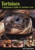 Tortoises Beginners GT Tortoise Care - How to Set Up a Home for a New Tortoise and Provide It the Best Possible Care (Paperback) - Andrew Highfield Photo