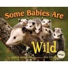 Some Babies are Wild (Hardcover) - Marion Dane Bauer Photo