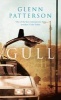 Gull (Paperback, UK Airports ed) - Glenn Patterson Photo