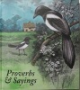 Proverbs and Sayings (Hardcover) - Helen Bate Photo