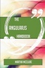 The Angularjs Handbook - Everything You Need to Know about Angularjs (Paperback) - Martha McClure Photo