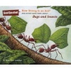 How Strong Is an Ant? - And Other Questions About...Bugs and Insects (Hardcover) - Mary Kay Carson Photo