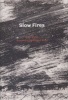 Slow Fires (Paperback) - Dan Wylie Photo