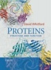 Proteins - Structure and Function (Paperback) - David Whitford Photo