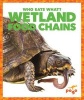 Wetlands Food Chains (Hardcover) - Rebecca Pettiford Photo