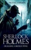 Sherlock Holmes - Dragging a Broken Wing (Paperback) - Michael Steinberg Photo