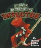 El Ciclo de Vida de Los Insectos (Insect Life Cycles) (Spanish, Paperback) - Molly Aloian Photo