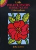 Little Wildflowers Stained Glass Colouring Book - Dover Little Activity Books (Staple bound) - John Green Photo