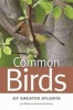 Common Birds of Greater Atlanta (Paperback) - Jim Wilson Photo