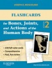 Flashcards for Bones, Joints, and Actions of the Human Body (Cards, 2nd Revised edition) - Joseph E Muscolino Photo