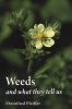 Weeds and What They Tell Us (Paperback, 3rd Revised edition) - Ehrenfried E Pfeiffer Photo