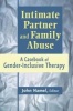 Intimate Partner and Family Abuse - A Casebook of Gender Inclusive Therapy (Paperback) - John Hamel Photo