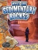 What are Sedimentary Rocks? (Paperback) - Natalie Hyde Photo