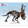 Collins Big Cat - Fossils: Band 10/ White (Paperback, American English ed) - Andrew Ross Photo