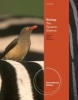 Biology - The Dynamic Science (Paperback, International ed of 2nd revised ed) - Peter J Russell Photo