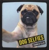 Dog Selfies (Hardcover) - Charlie Ellis Photo