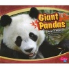 Giant Pandas (Paperback) - Lyn A Sirota Photo