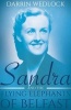 Sandra and the Flying Elephants of Belfast (Paperback) - Darrin Wedlock Photo