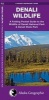 Denali Wildlife - A Folding Pocket Guide to the Wildlife of Denali National Park & Denali State Park (Pamphlet) - James Kavanagh Photo