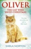 Oliver the Cat Who Saved Christmas (Paperback) - Sheila Norton Photo