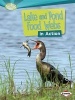 Lake and Pond Food Webs in Action (Paperback) - Paul Fleisher Photo