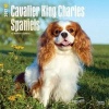 Cavalier King Charles Spaniels 2017 Square (Calendar) - Inc Browntrout Publishers Photo