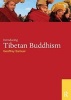 Introducing Tibetan Buddhism (Paperback) - Geoffrey Samuel Photo