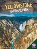 Yellowstone National Park (Hardcover) - Cecilia Pinto McCarthy Photo