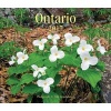 Ontario 2017 (Calendar) - Mike Grandmaison Photo